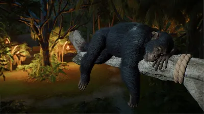 ✅❤️PLANET ZOO 2: DELUXE EDITION❤️XBOX|XS+PC WIN❤️ПРЕДЗАКАЗ С БОНУСАМИ✅