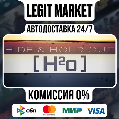 Hide & Hold Out - H2o / Steam АВТО / РУ + МИР