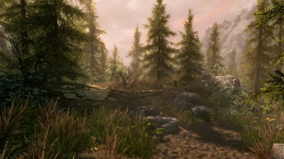 The Elder Scrolls V: Skyrim Special Edition + 900 ИГР STEAM АККАУНТ