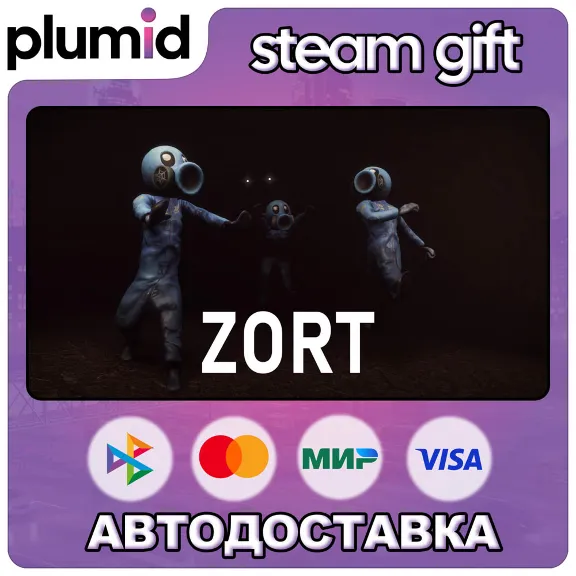 Zort Steam Gift / Россия + МИР / АВТО