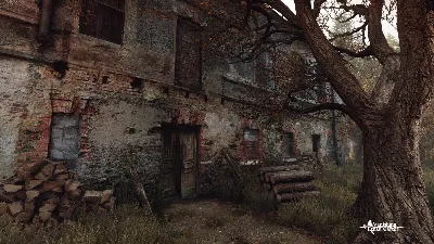 The Vanishing of Ethan Carter (Steam Gift) · РФ и весь мир