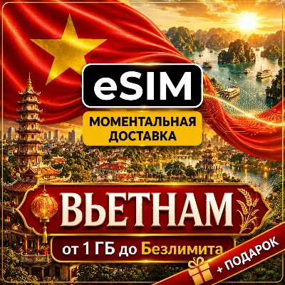 eSIM | Vietnam | Mobile Internet | Hanoi Ho Chi Minh City Da Nang Nha Trang | Premium