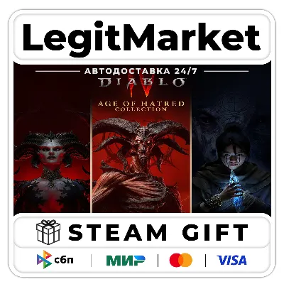 Diablo IV: Age of Hatred GAME 2 DLC STEAM WITHOUT CHANGE OF REGION RU WORLD AUTO