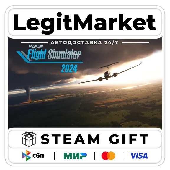 Microsoft Flight Simulator 2024 / Steam АВТО / РУ + МИР