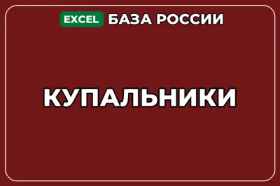 База компаний по теме Купальники в России