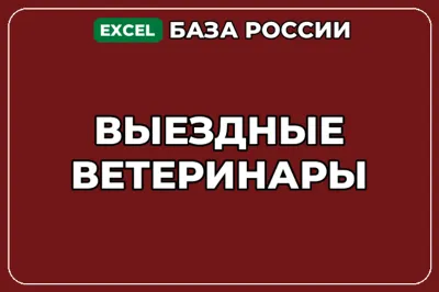 База компаний по теме Выездные ветеринары в России