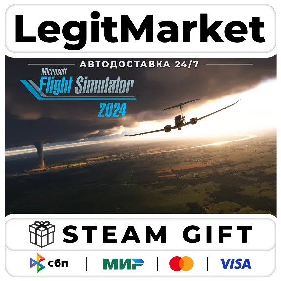 Microsoft Flight Simulator 2024 / Steam АВТО / РУ + МИР