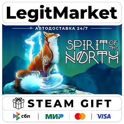 Spirit of the North / Steam АВТО / РУ + МИР