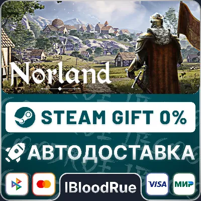 Norland⚡️•RU +WORLD / STEAM AUTO, 0%