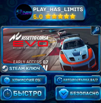 🔑Assetto Corsa EVO КЛЮЧ STEAM СНГ+РФ