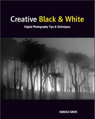 Creative black&white Digital photography
