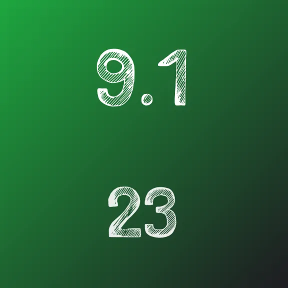 IDZ Ryabushko 9.1 Option 23