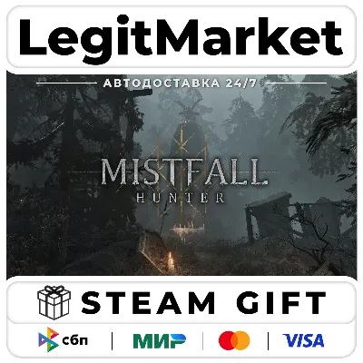 Mistfall Hunter / Steam AUTO / RU + WORLD