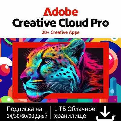 СРАЗУ ADOBE CREATIVE CLOUD PRO 1/2/3 МЕСЯЦЕВ НА ВАШ ПРОФИЛЬ
