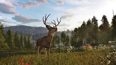 ☑️ Way of the Hunter 2 XBOX SERIES X|S PURCHASE GAME TO YOU ACCOUNT