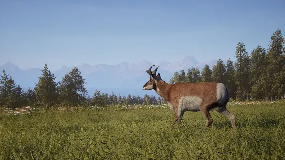 Way of the Hunter 2 (Steam Gift RU)