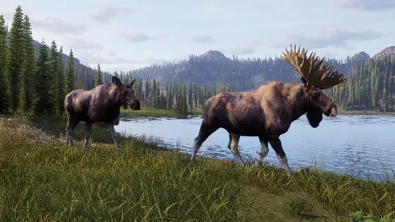 ✅❤️WAY OF THE HUNTER 2 - DELUXE EDITION❤️XBOX SERIES X|S🔑KEY✅