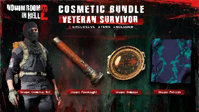 No More Room in Hell 2 - Veteran Survivor Pack DLC АВТОДОСТАВКА STEAM РОССИЯ