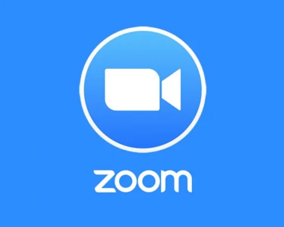 Zoom Workplace Pro subscription 1-12 months