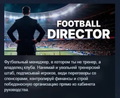 FD 27: Direct Your Football Club AUTODELIVERY STEAM GIFT INSTANTLY