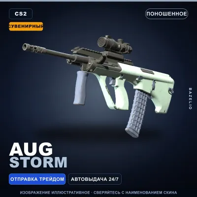 Souvenir AUG | Storm | Well-Worn · Counter-Strike 2 skin