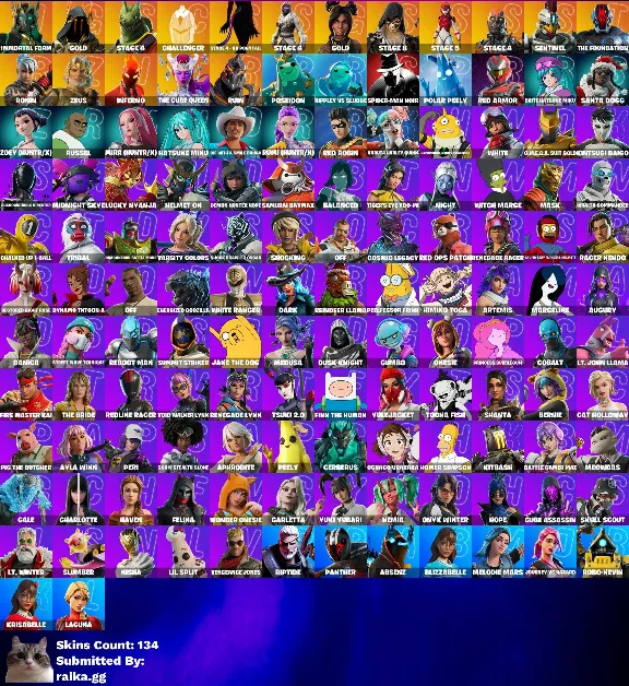 Instant • FN (All Platforms) • 134 Skins • Full Access