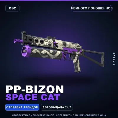 PP-Bizon | Space Cat | Minimal Wear · Counter-Strike 2 skin
