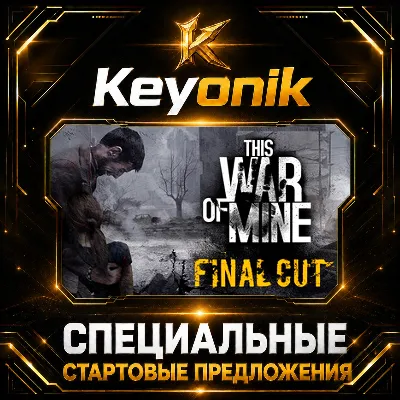 This War of Mine PC Steam CD Key Global