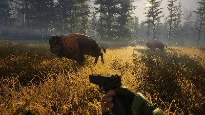 BIGFOOT (Steam Gift) · Worldwide · Auto-delivery 24/7