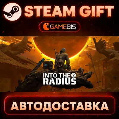 Into the Radius 2 — Steam Gift | СТИМ ГИФТ | АВТОДОСТАВКА
