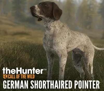 theHunter: Call of the Wild - German Shorthaired Pointer DLC PC Steam CD Key