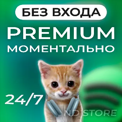 SPOTIFY PREMIUM | ЛЮБОЙ АКК | 1/3/6/12 МЕСЯЦЕВ | РАБОТАЕТ В РФ
