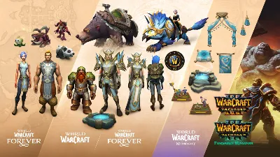 World of Warcraft WoW Forever Collection Code/Key RU/RB